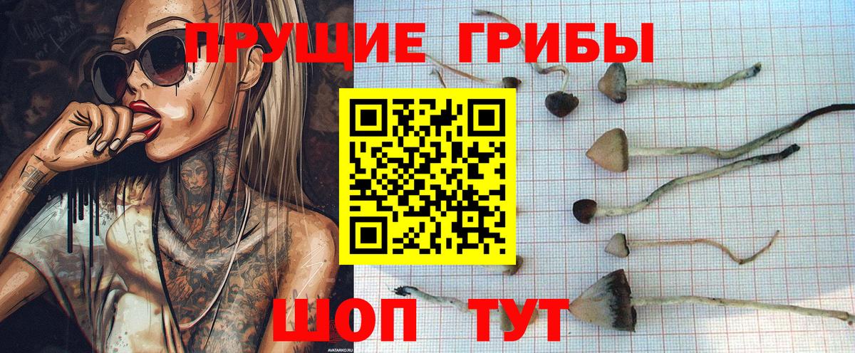 Галлюциногенные грибы Magic Shrooms Ликино-Дулёво